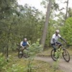 Sportief in het bos