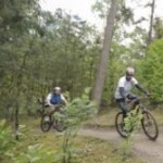 Sportief in het bos